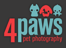 4 Paws Pet Photography